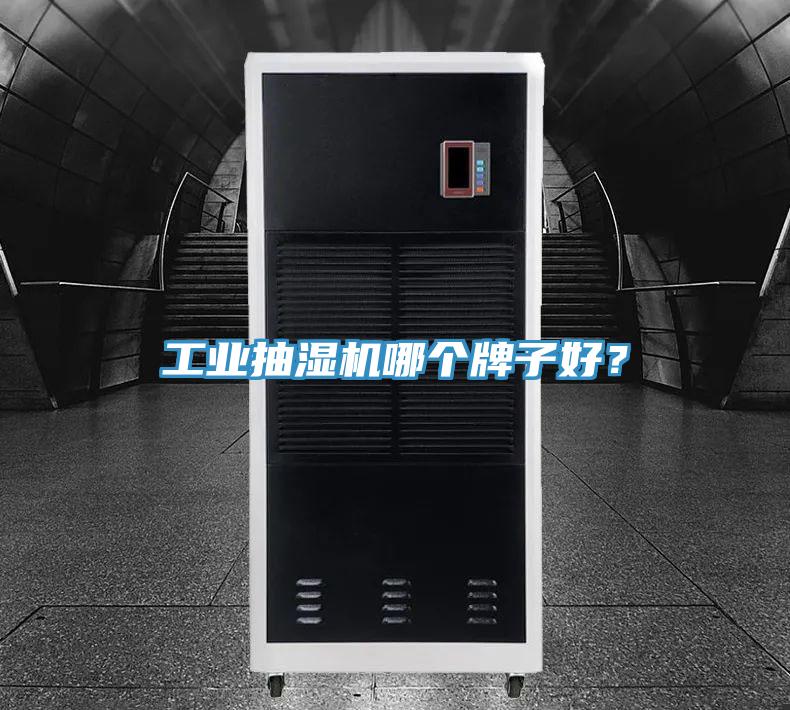 工業抽濕機哪個牌子好？