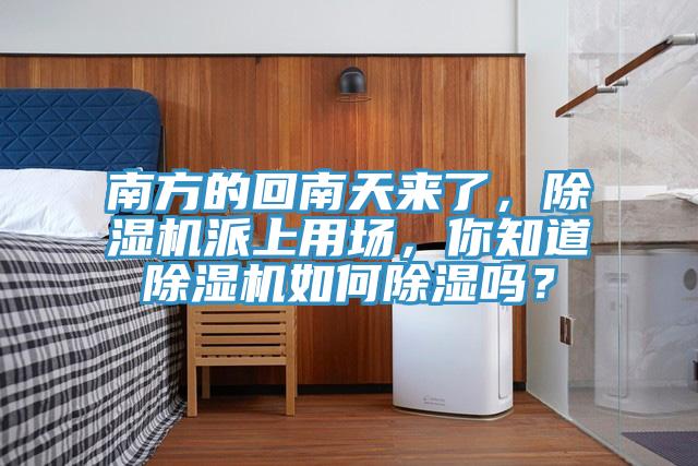 南方的回南天來了，小黄片软件免费下载派上用場，你知道小黄片软件免费下载如何除濕嗎？