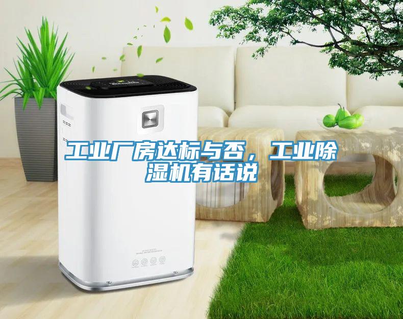工業廠房達標與否，工業小黄片软件免费下载有話說