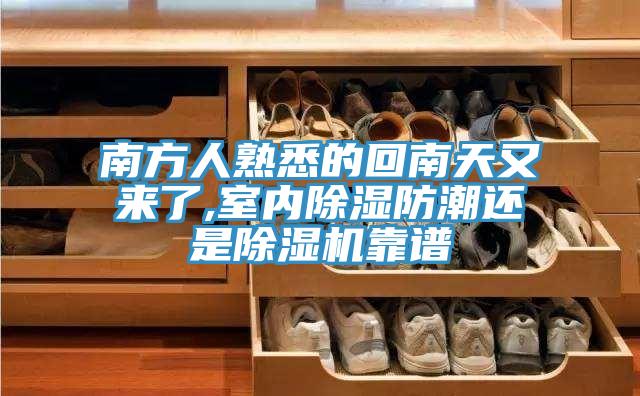 南方人熟悉的回南天又來了,室內除濕防潮還是小黄片软件免费下载靠譜