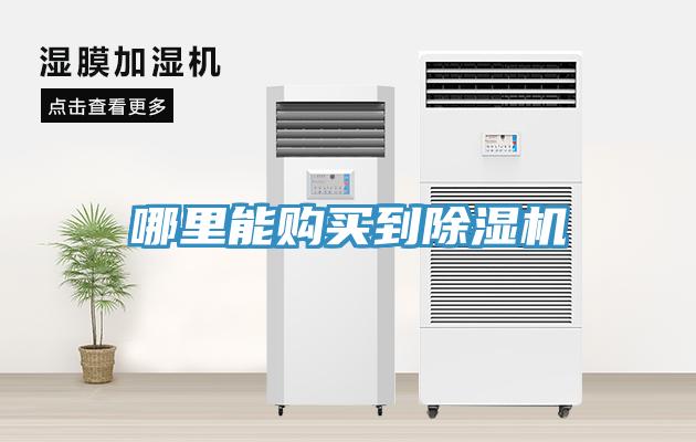 哪裏能購買到小黄片软件免费下载