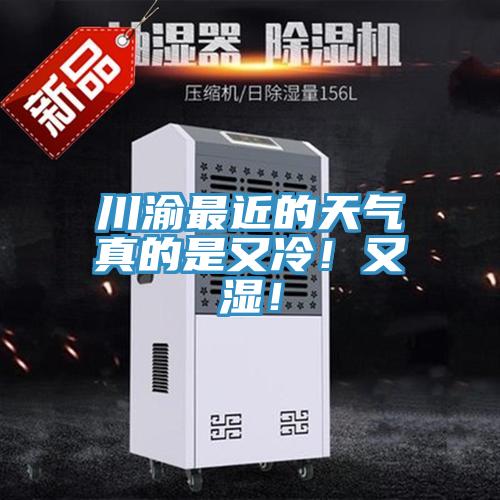 川渝最近的天氣真的是又冷！又濕！