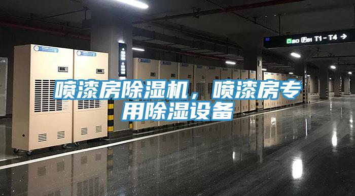 噴漆房小黄片软件免费下载，噴漆房專用除濕設備