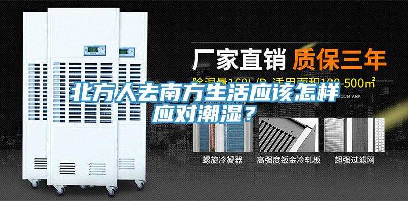 北方人去南方生活應該怎樣應對潮濕？