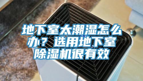 地下室太潮濕怎麽辦？選用地下室小黄片软件免费下载很有效