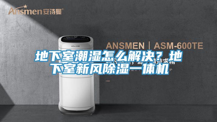 地下室潮濕怎麽解決？地下室新風除濕一體機