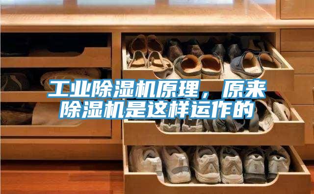 工業小黄片软件免费下载原理，原來小黄片软件免费下载是這樣運作的