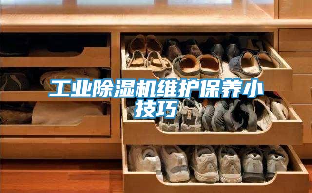 工業小黄片软件免费下载維護保養小技巧
