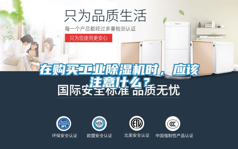 在購買工業小黄片软件免费下载時，應該注意什麽？