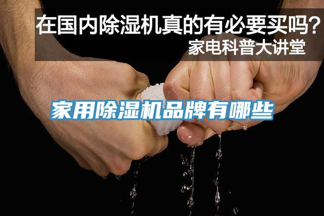 家用小黄片软件免费下载品牌有哪些