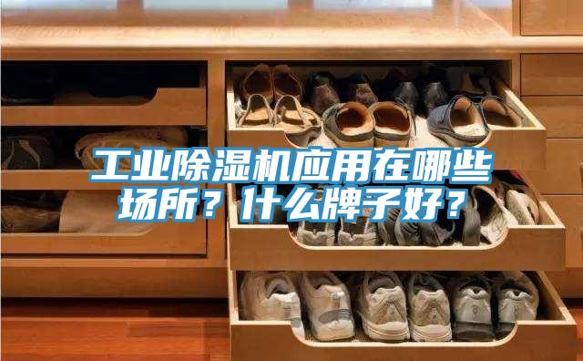工業小黄片软件免费下载應用在哪些場所？什麽牌子好？