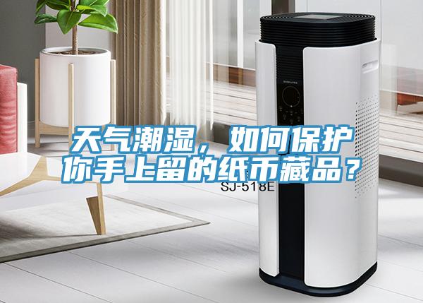 天氣潮濕，如何保護你手上留的紙幣藏品？
