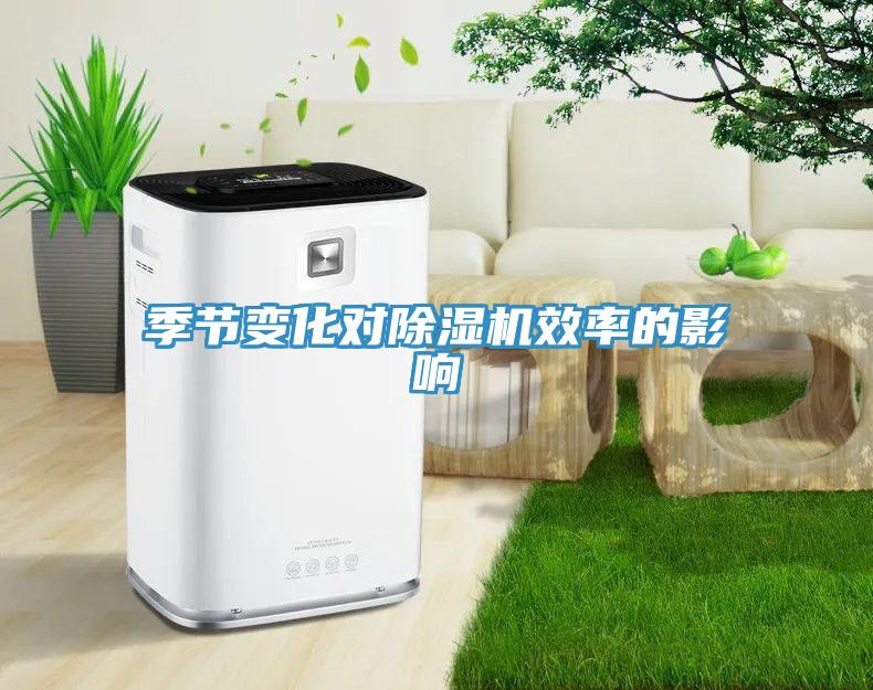 季節變化對小黄片软件免费下载效率的影響