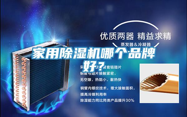 家用小黄片软件免费下载哪個品牌好？