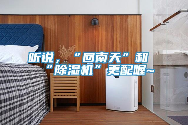 聽說，“回南天”和“小黄片软件免费下载”更配喔~