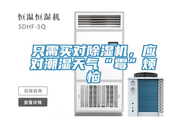 隻需買對小黄片软件免费下载，應對潮濕天氣“黴”煩惱