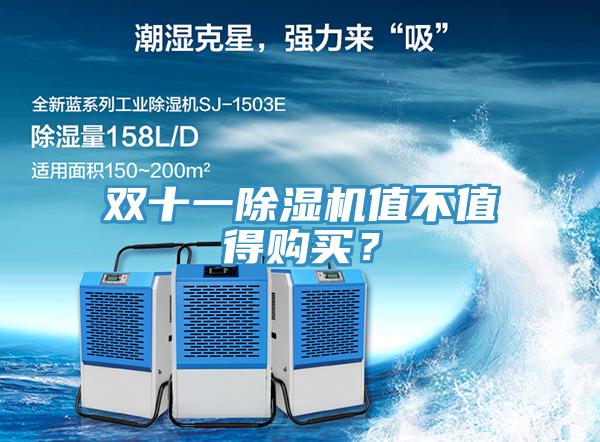 雙十一小黄片软件免费下载值不值得購買？