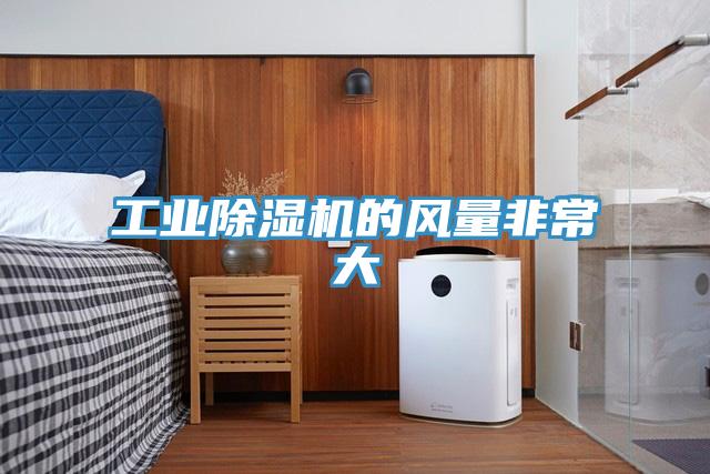 工業小黄片软件免费下载的風量非常大