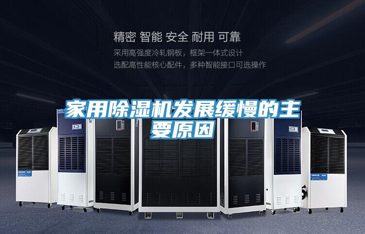 家用小黄片软件免费下载發展緩慢的主要原因