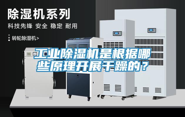 工業小黄片软件免费下载是根據哪些原理開展幹躁的？