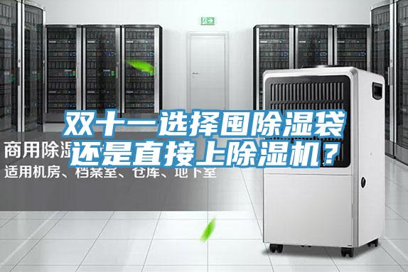 雙十一選擇囤除濕袋還是直接上小黄片软件免费下载？