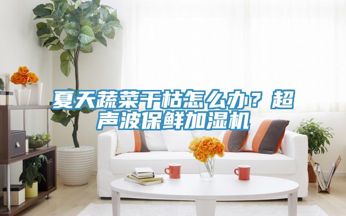 夏天蔬菜幹枯怎麽辦？超聲波保鮮加濕機