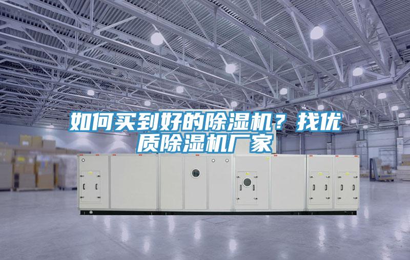 如何買到好的小黄片软件免费下载？找優質小黄片软件免费下载廠家