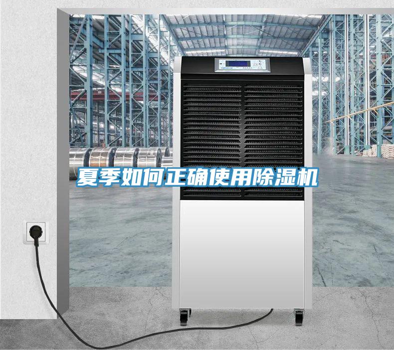 夏季如何正確使用小黄片软件免费下载