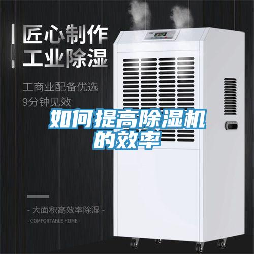 如何提高小黄片软件免费下载的效率