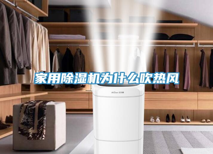 家用小黄片软件免费下载為什麽吹熱風