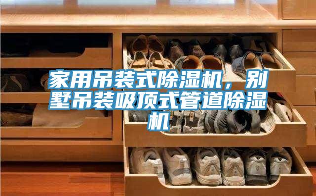 家用吊裝式小黄片软件免费下载，別墅吊裝吸頂式管道小黄片软件免费下载