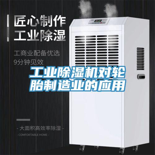工業小黄片软件免费下载對輪胎製造業的應用