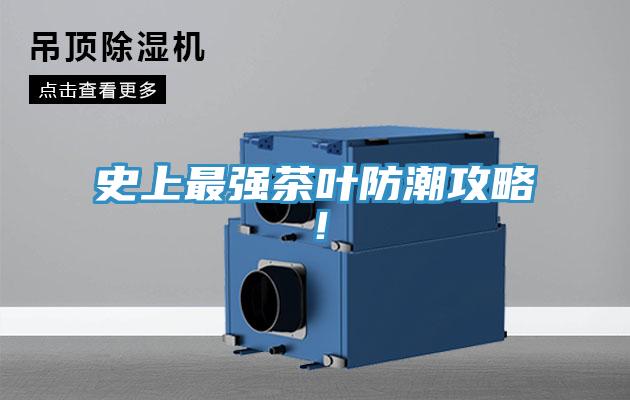 史上最強茶葉防潮攻略！