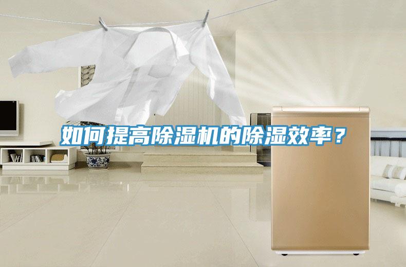 如何提高小黄片软件免费下载的除濕效率？