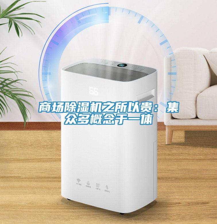商場小黄片软件免费下载之所以貴：集眾多概念於一體