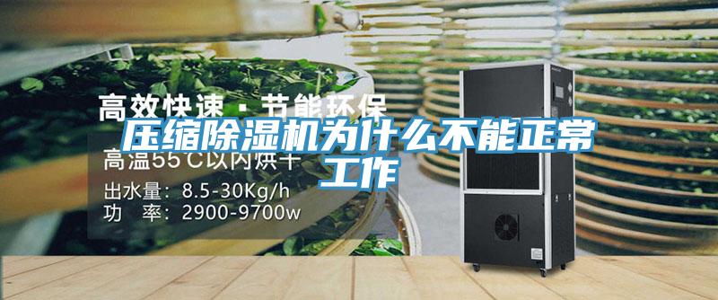 壓縮小黄片软件免费下载為什麽不能正常工作