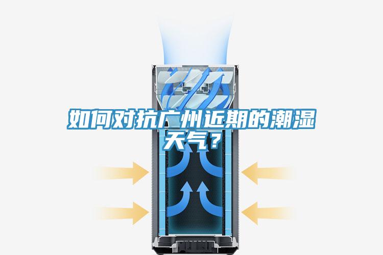 如何對抗廣州近期的潮濕天氣？