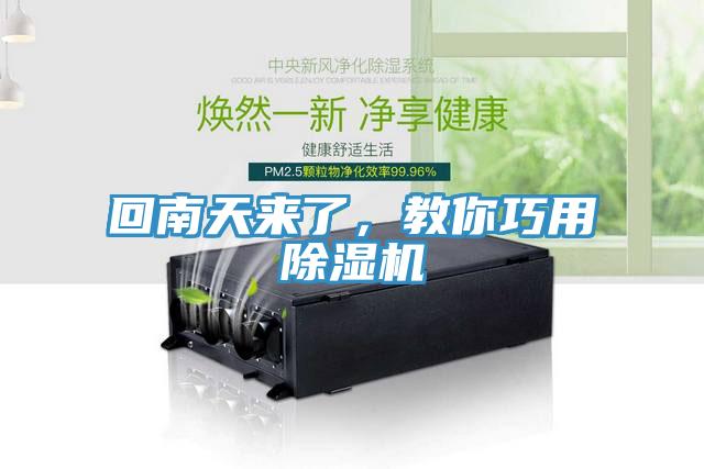 回南天來了，教你巧用小黄片软件免费下载
