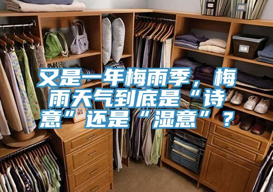 又是一年梅雨季，梅雨天氣到底是“詩意”還是“濕意”？