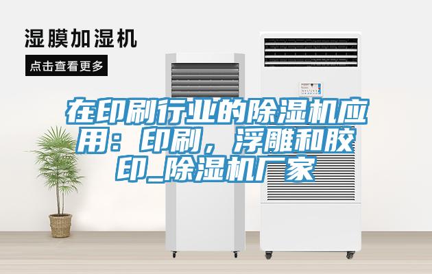 在印刷行業的小黄片软件免费下载應用：印刷，浮雕和膠印_小黄片软件免费下载廠家