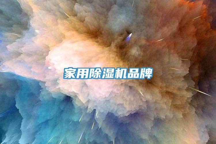 家用小黄片软件免费下载品牌