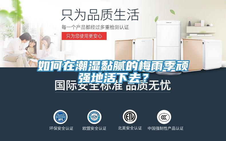 如何在潮濕黏膩的梅雨季頑強地活下去？