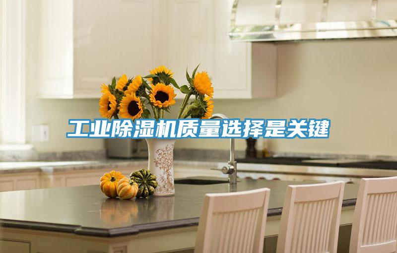工業小黄片软件免费下载質量選擇是關鍵