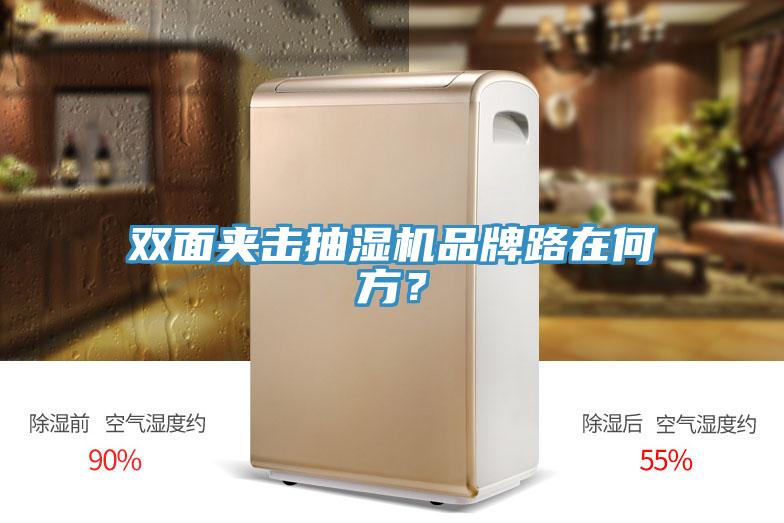 雙麵夾擊抽濕機品牌路在何方？