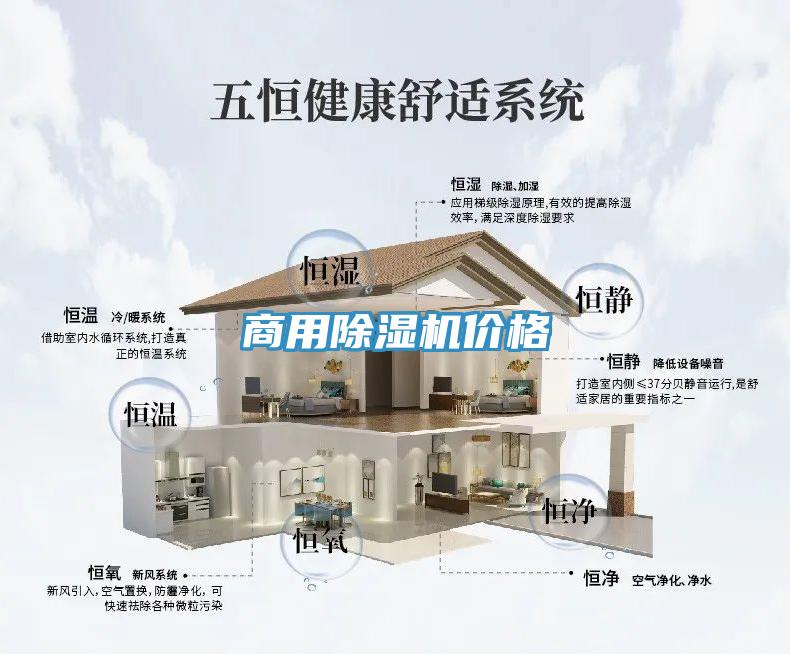 商用小黄片软件免费下载價格