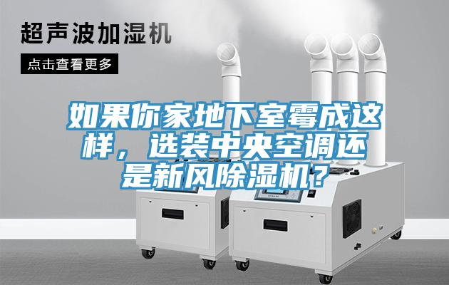 如果你家地下室黴成這樣，選裝中央空調還是新風小黄片软件免费下载？