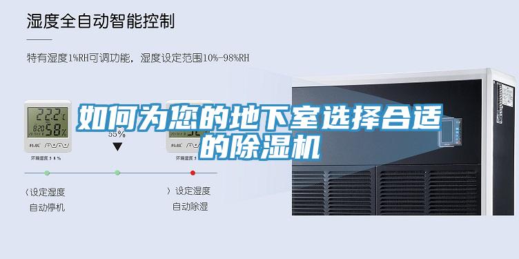 如何為您的地下室選擇合適的小黄片软件免费下载
