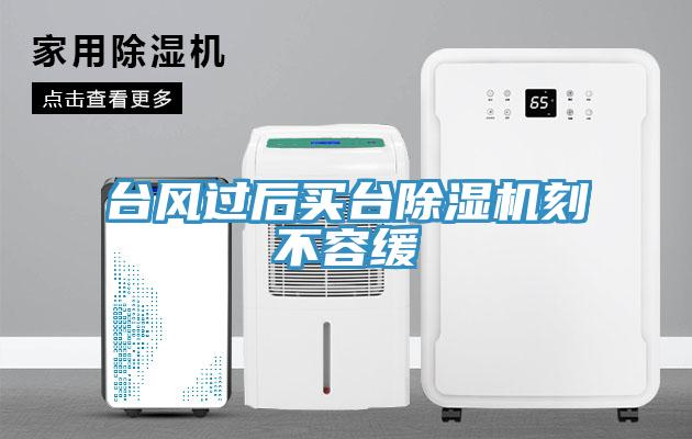 台風過後買台小黄片软件免费下载刻不容緩