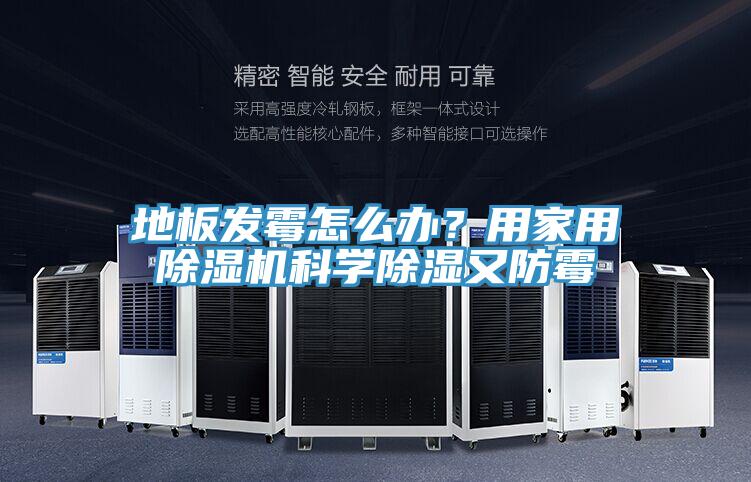 地板發黴怎麽辦？用家用小黄片软件免费下载科學除濕又防黴