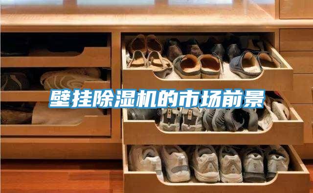 壁掛小黄片软件免费下载的市場前景